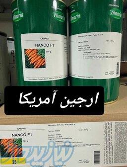 بذر هویج نانکو 