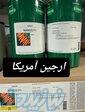 بذر هویج نانکو 
