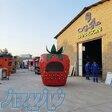 فروش کیوسک غذا و فودتراک 