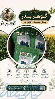 بذر کلم بروکلی ماتسوری 