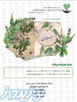درختچه یادگاری نامیرا 