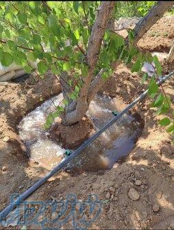 اتصالات ابیاری قطره ای 