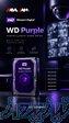 هاردهای WD Purple 