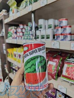 بذر هندوانه سوپر درگوان 