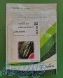    بذر هندوانه B32 F1    