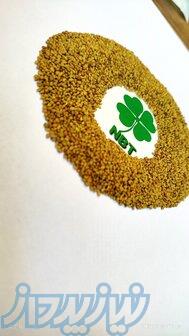 فروش انواع بذر یونجه 