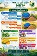 فروش انواع بذر یونجه 