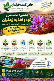مشاوره تخصصی و تامین کود مزارع زعفران در خراسان 