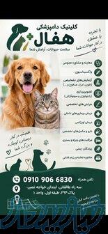 کلینیک دامپزشکی هفال 