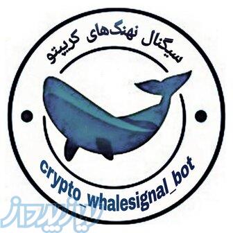 درآمد از تبلیغات 