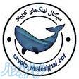 درآمد از تبلیغات 