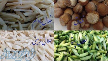 خشکبار روشن تولید خلال پسته و بادام و فندق و مغز فندق 