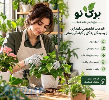 خدمات تخصصی نگهداری و رسیدگی به گل و گیاه آپارتمانی   برگ نو 