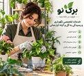 خدمات تخصصی نگهداری و رسیدگی به گل و گیاه آپارتمانی   برگ نو 