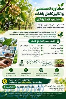 مشاوره تخصصی و آنالیز کامل بهبود باغ ها و باغ ویلاها 