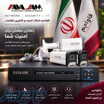 امنیت حرفه ای 