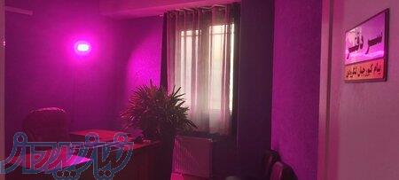 دفتر اسناد رسمی شماره 243 قزوین 
