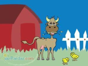 فروش مواد خوراک دام وارداتی