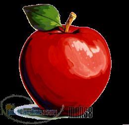 خدمات حسابداری در خراسان شمالی بجنورد شرکت