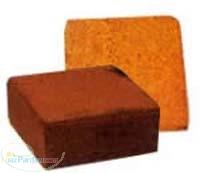 کوکوپیت پیت ماس سینی کشت