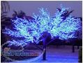 شايان برق-درخت شکوفه نوری و درخت افرا نوری