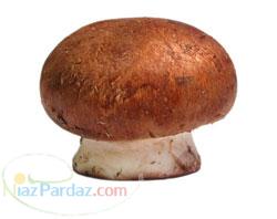 فروش کارخانه قارچ در حال توليد با شرايط بسيار