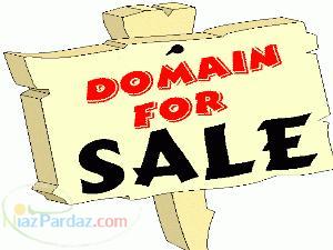 حراج و فروش ویژه دامین ها همراه با راه اندازی
