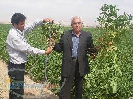 زلال آب شرق پکیج مغناطیسی آبیاری مغناطیسی مگنت