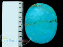 فیروزه دامغان شجری