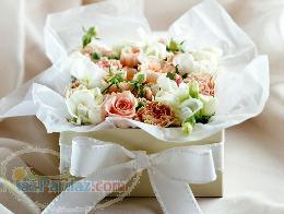 استوديو عكاسي نارملا