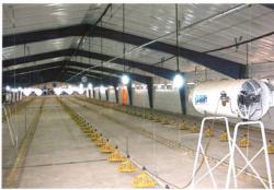 فروش مرغداری پیشرفته(استاندارد کانادا