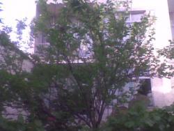 فروش خانه نزدیک بازار بزرگ تهران  - تهران