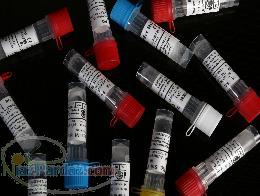 شرکت آریا اکسیر پویا وارد کننده مواد شیمیایی از