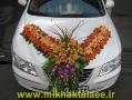 ماشین عروس  - تهران