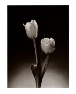 قاب عکس و تابلو شیدا  - كرمانشاه