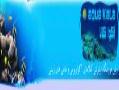 فروش لوازم آکواریوم در اینترنت