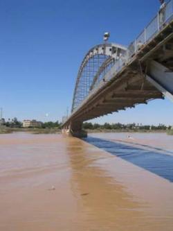 به رایگان صاحب وب سایت آژانس املاک شوید