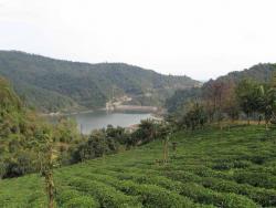 رامسر فروش زمین 5 هگتاری اطراف سدمیجران