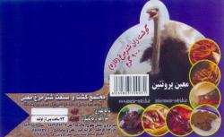 مجتمع کشت و صنعت شتر مرغ معین  - تهران