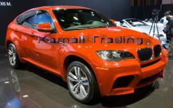 bmw x6 2010   3500 cc ب ام و  - تهران