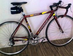 دوچرخه حرفه ای ژیتان فرانسه(فوری  - تهران