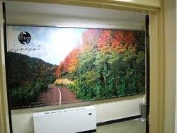 نسل جدید پرده های طرح دار