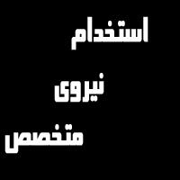 استخدام نیرو های متخصص و مجرب