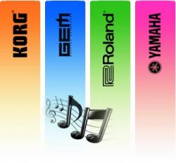 ارگ رولند e 70