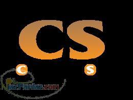 گروه بین المللی بازرگانی سیام