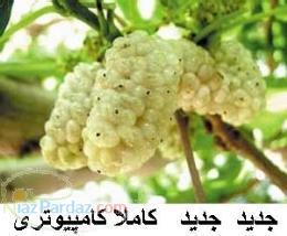 فروش دستگاه خشك كن توت و زرشک