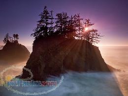 فروشگاه بزرگ محمدی