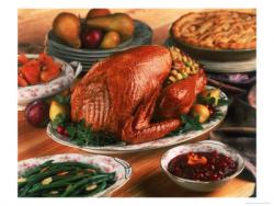 آشپزی بوقلمون  - تهران