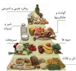 برنامه منسجم رژیم ورزشی(چاقی  لاغری  - تهران