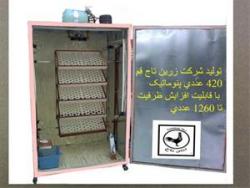 دستگاه جوجه کشی خانگی و صنعتی  - قم